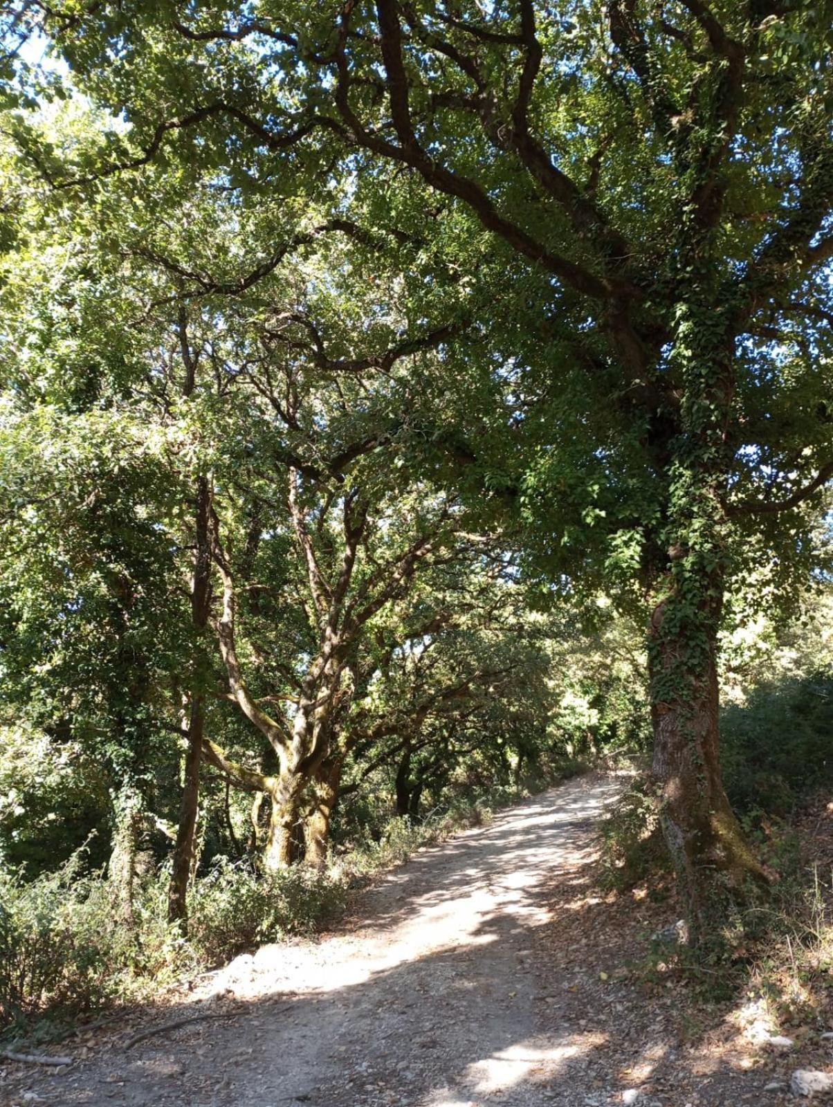 Appartamento La Casa Di Enza Santa Margherita di Belice Esterno foto